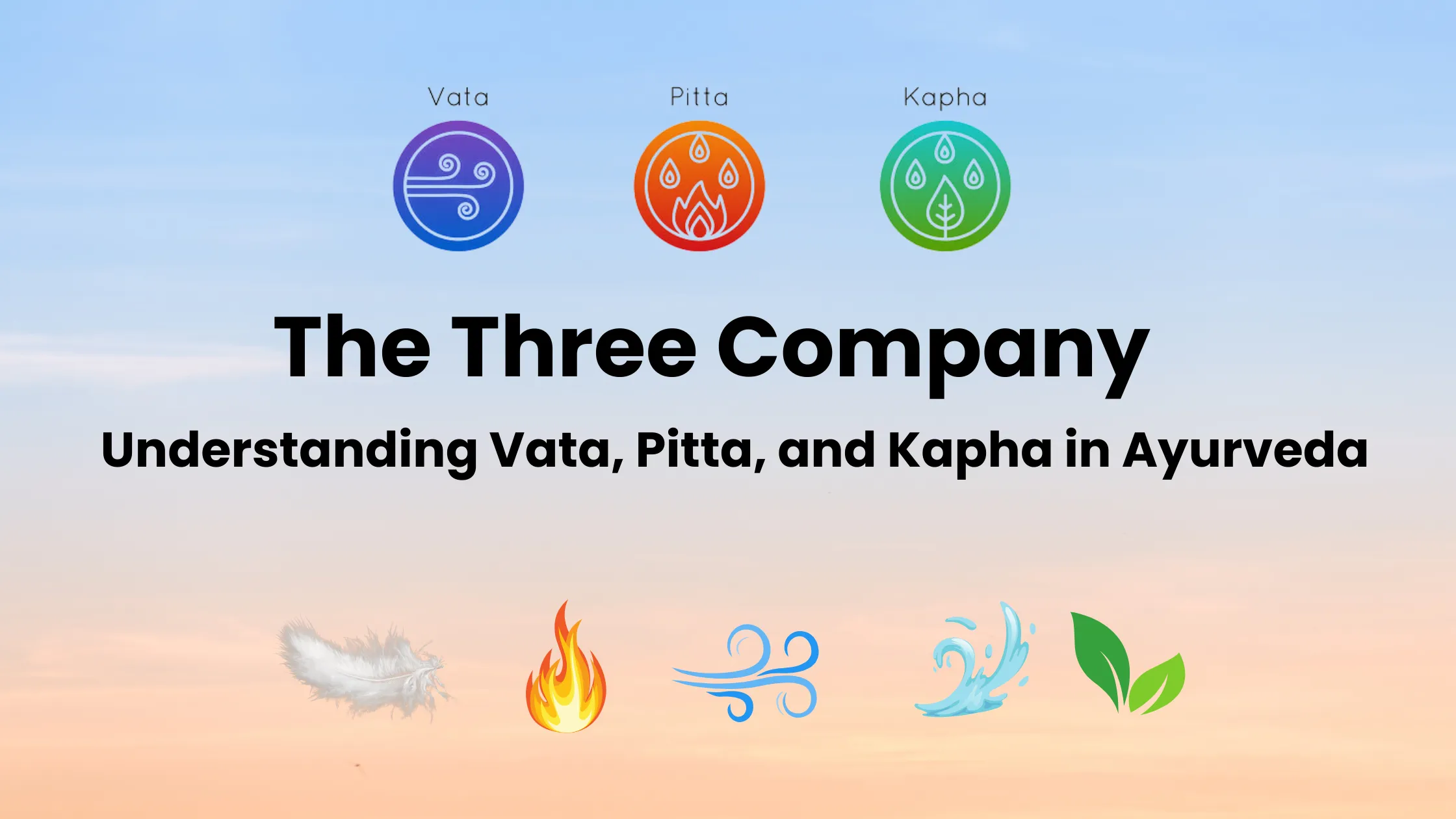 The Three Company Vata Pitta and Kapha.